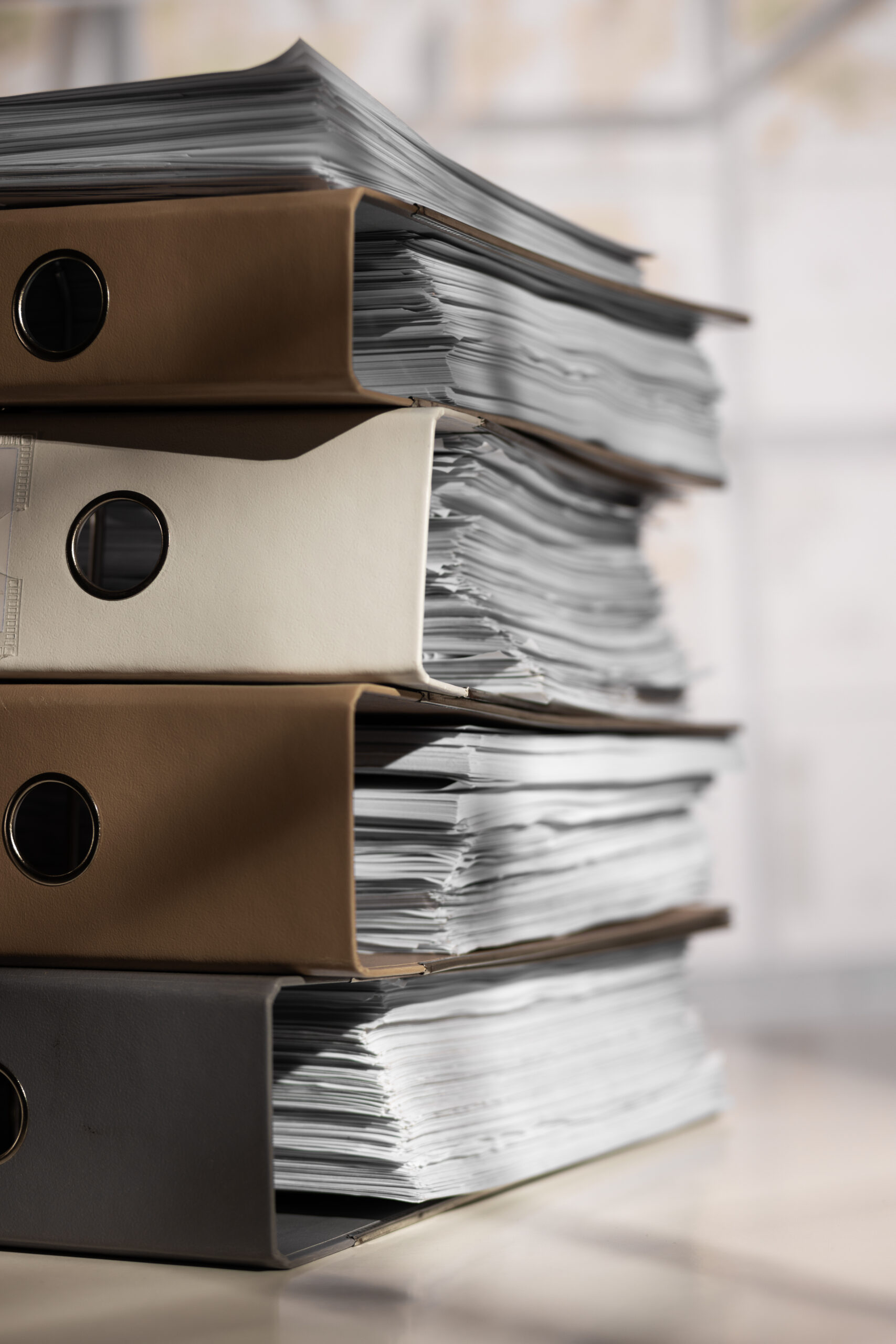 Землеустроительная экспертиза